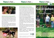 Gassi gehen mit Tierheim Hunden Teil 2 - Mobile Tierrettung e.V.