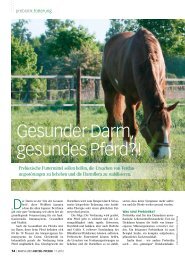 gibt es den Artikel als PDF-Download! - Rheinlands Reiter+Pferde