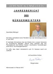 Jahresbericht 2009 (17,60 MB) - Gemeinde Klein-Neusiedl