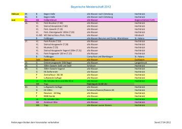 Bayerische Meisterschaft 2012 - BSSB