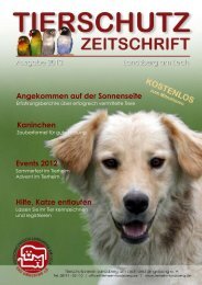 Hunde - Tierheim und Tierschutzverein Landsberg
