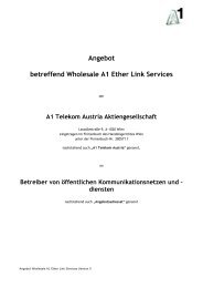 Angebot WS EtherLink - A1.net