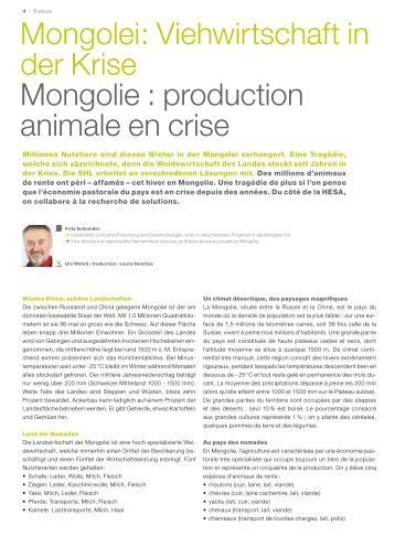 Mongolei: Viehwirtschaft in der Krise Mongolie : production animale ...