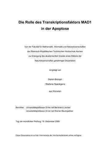 Dokument 1.pdf - RWTH Aachen University