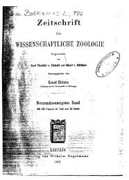 Zeitschrift