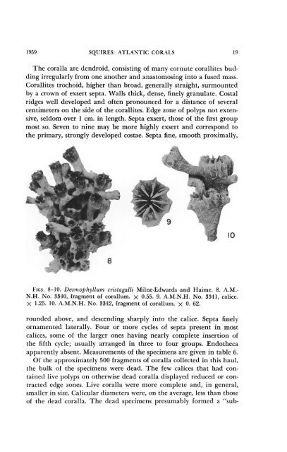 MXieuicanJAuscum - American Museum of Natural History