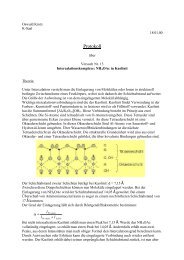 Protokoll - Chemiestudent.de