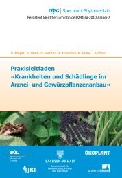 Praxisleitfaden Krankheiten und Schädlinge im Arznei ... - Die DPG