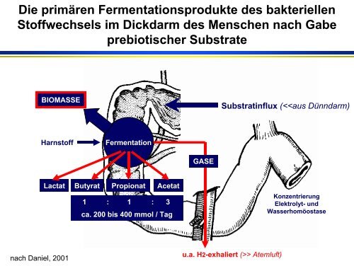 Funktionelle Lebensmittel - Universität Paderborn