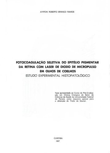 AYRTON ROBERTO BRANCO RAMOS_1997.pdf - DSpace