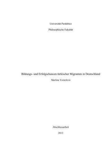 Bildungs- und Erfolgschancen türkischer Migranten in Deutschland