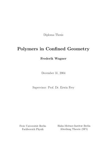 Polymers in Confined Geometry.pdf