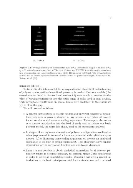 Polymers in Confined Geometry.pdf