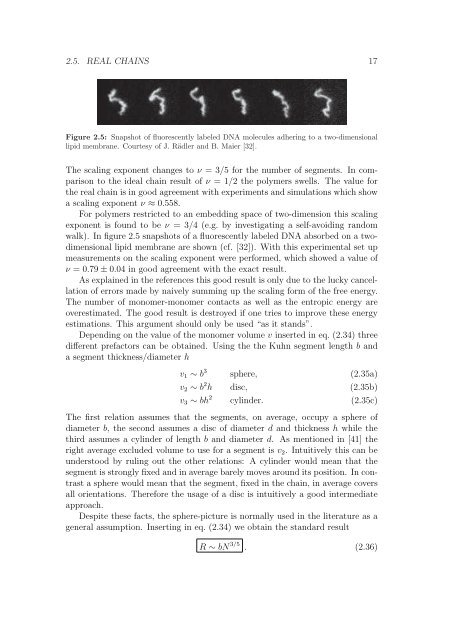 Polymers in Confined Geometry.pdf