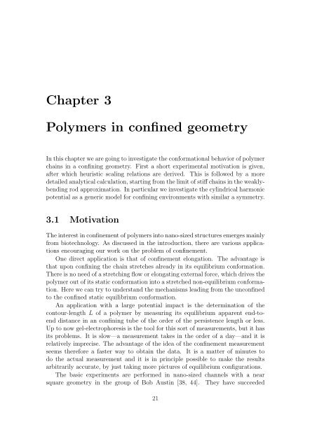 Polymers in Confined Geometry.pdf
