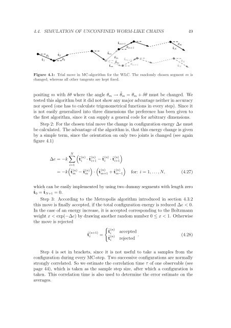 Polymers in Confined Geometry.pdf