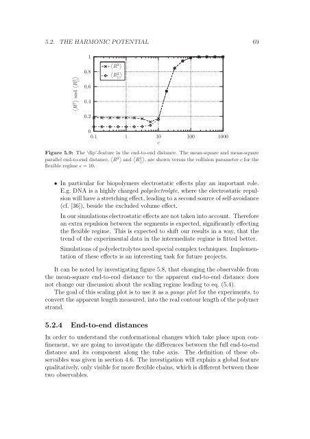 Polymers in Confined Geometry.pdf