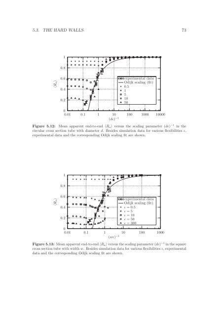 Polymers in Confined Geometry.pdf