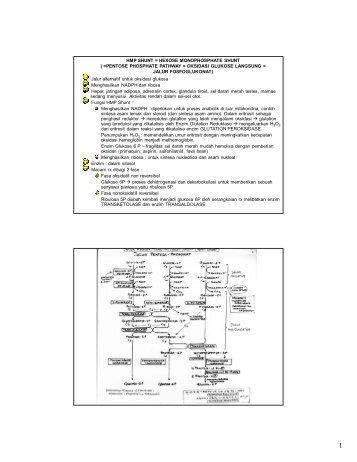 HMP SHUNT = HEXOSE MONOPHOSPHATE SHUNT ( =PENTOSE ...