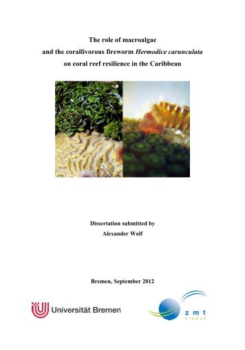 The role of macroalgae and the corallivorous fireworm Hermodice ...