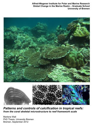 Patterns and controls of calcification in tropical reefs: - E-LIB ...