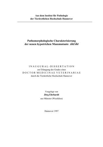 Pathomorphologische Charakterisierung der neuen hypotrichen ...