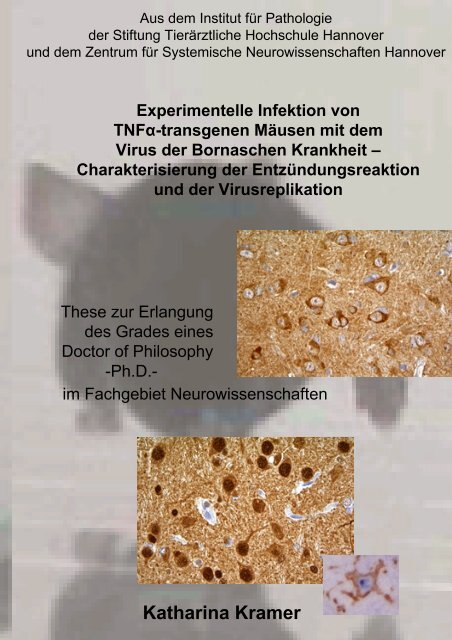 Institut für Pathologie der Stiftung Tierärztliche - TiHo Bibliothek elib ...