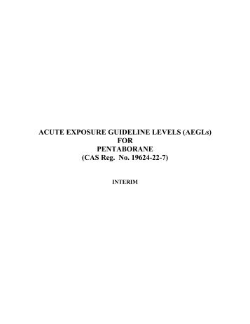 Pentaborane Interim AEGL Document