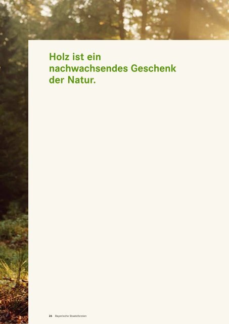 Download (PDF, 3.9 Mb) - Bayerische Staatsforsten