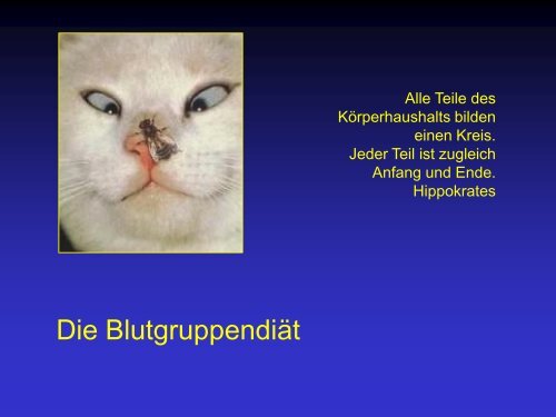 Blutdiät pdf Blutdiät pdf