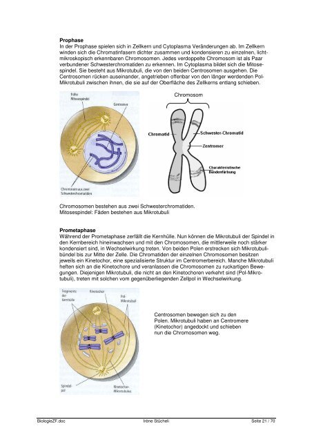 Biologie Buchzusammenfassung