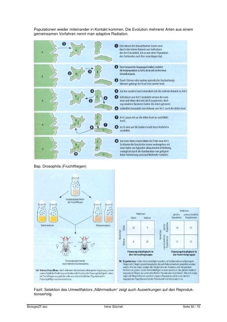 Biologie Buchzusammenfassung