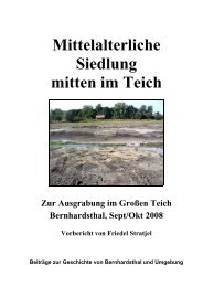 Mittelalterliche Siedlung mitten im Teich