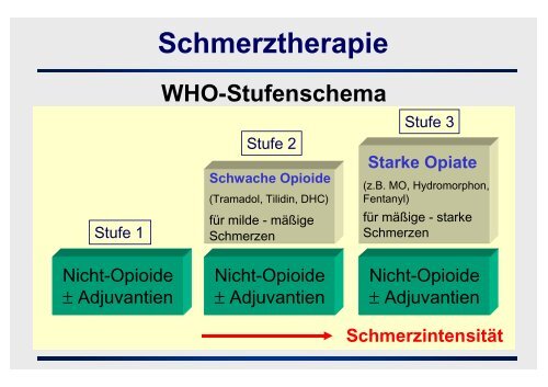 Medikamentöse Schmerztherapie in der Palliative Care