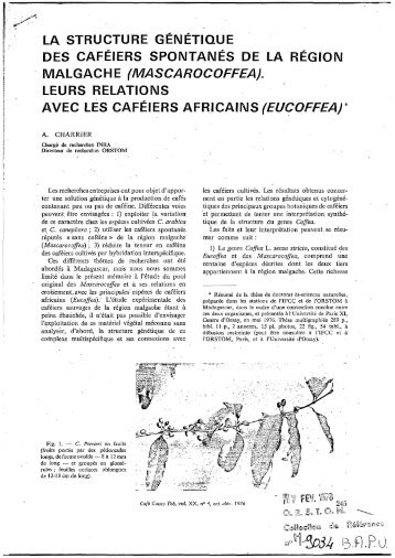 Mascarocoffea - Horizon documentation-IRD