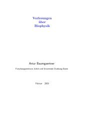 Vorlesungen über Biophysik Artur Baumgaertner - Scientific IT ...