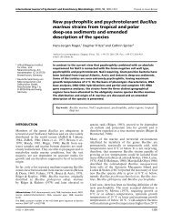 New psychrophilic and psychrotolerant Bacillus marinus strains from ...