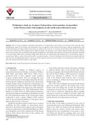 Preliminary study on Acropora - Scientific Journals - Tübitak