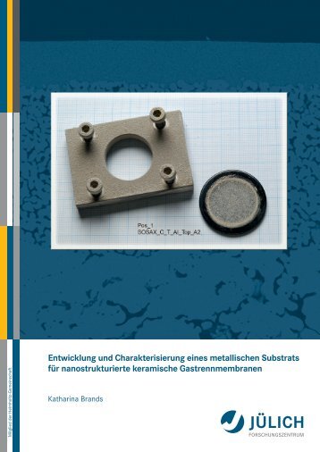 Entwicklung und Charakterisierung eines metallischen Substrats für ...