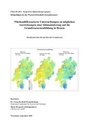 Abschlussbericht - Fachzentrum Klimawandel Hessen - Hessisches ...