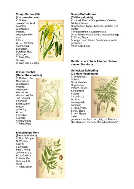 Giftpflanzen_12_korr.pdf - LELF