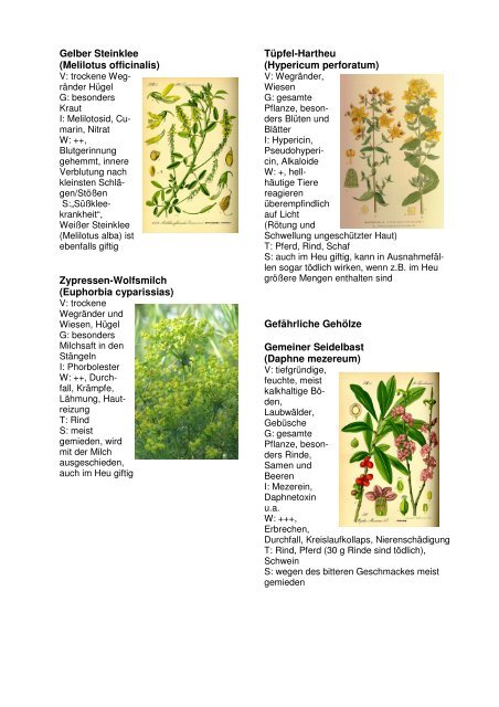 Giftpflanzen_12_korr.pdf - LELF