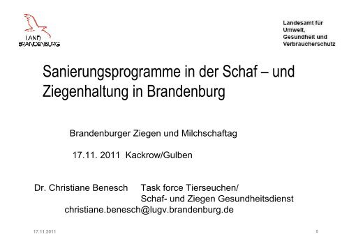 Sanierungsprogramme Ziegentag 2011.pdf - LELF