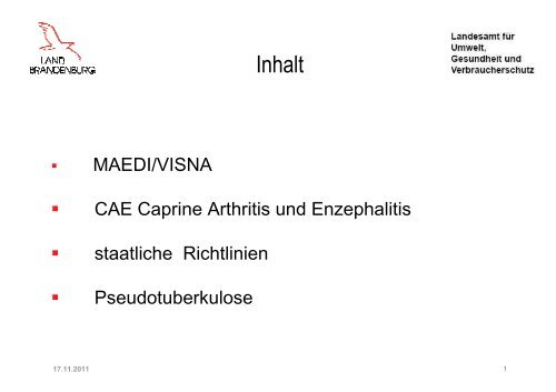 Sanierungsprogramme Ziegentag 2011.pdf - LELF