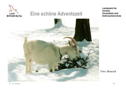 Sanierungsprogramme Ziegentag 2011.pdf - LELF