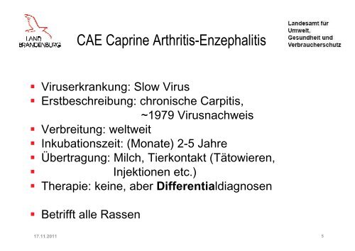 Sanierungsprogramme Ziegentag 2011.pdf - LELF