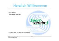 Erfahrungen Projekt Sport-verein-t