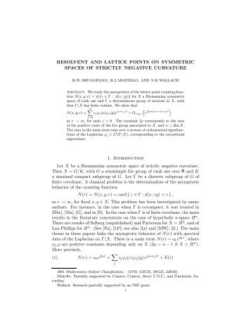 Resolvent and lattice points on symmetric spaces of strictly negative ...