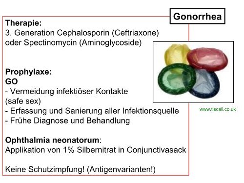 Pseudomonas aeruginosa