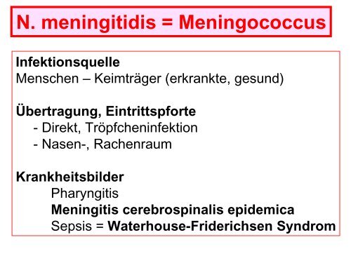 Pseudomonas aeruginosa